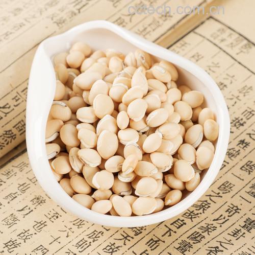 清水煮荷兰豆成品摆盘图