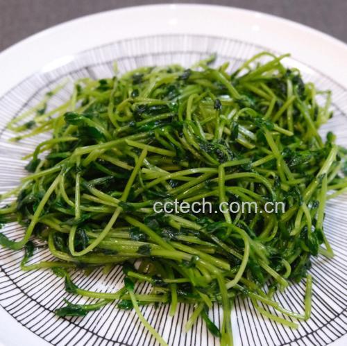清炒蒜蓉青豌豆成品图