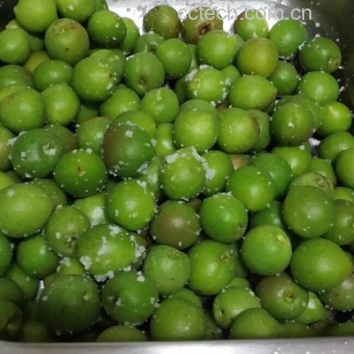 沙梨酸制作食材准备图