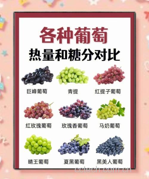 鹰嘴芒果与其他水果热量对比图表