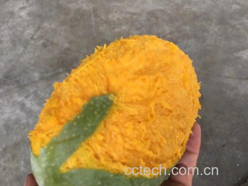 凯特芒整果与切开状态对比图