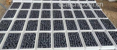 木瓜牛奶饮品成品图