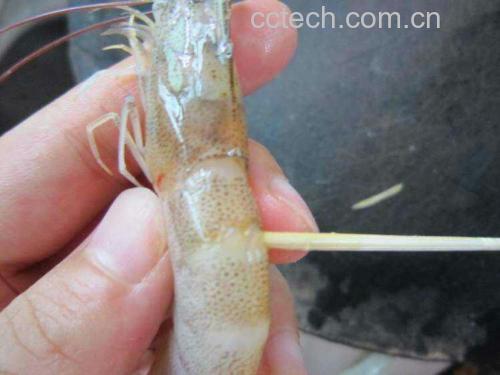 对虾处理过程