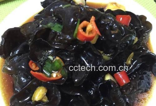 一盘拌好的黑木耳蒜泥凉菜，黑色木耳丝与白色蒜末均匀混合，点缀少许香葱和红辣椒油，盛放在白色瓷盘中，光线柔和，突出菜品色泽对比与食欲感