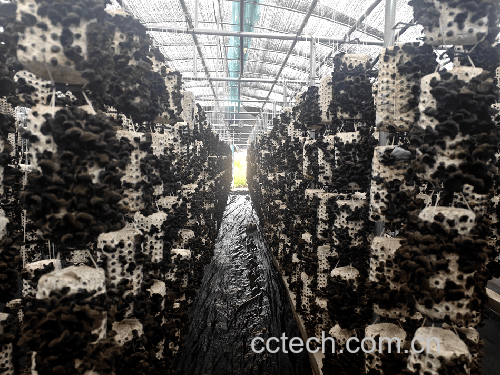 黑木耳标准化栽培大棚内环境调控设备实景