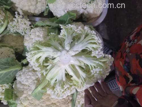 西兰花蒸煮前后对比图