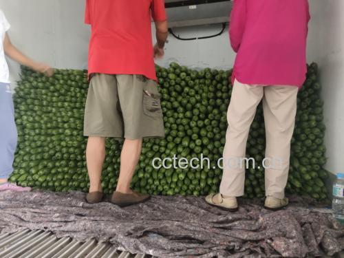 一位男士在厨房准备苦瓜的场景