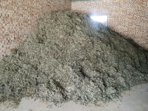 中医专家在讲解花椒泡脚原理