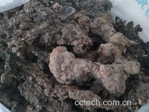 阳虚体质人群在寒冷季节更需注意饮食调理