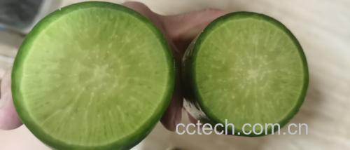 水果萝卜特写