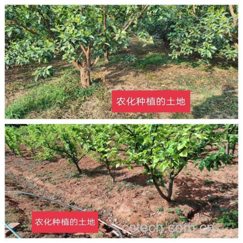 垆土与沙土地貌对比图