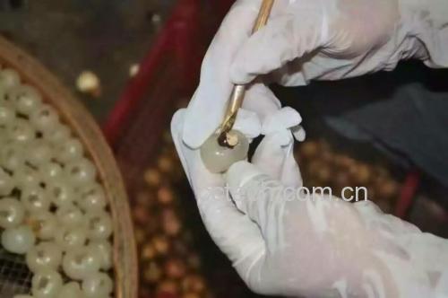 桂味荔枝果肉处理过程