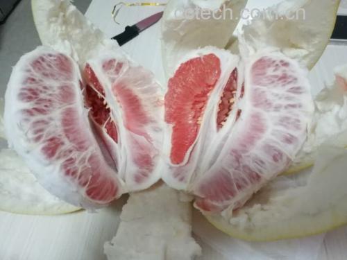 红心柚果肉切片展示