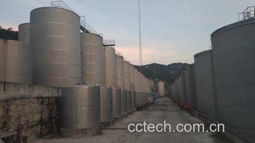 金钩梨泡酒成品图