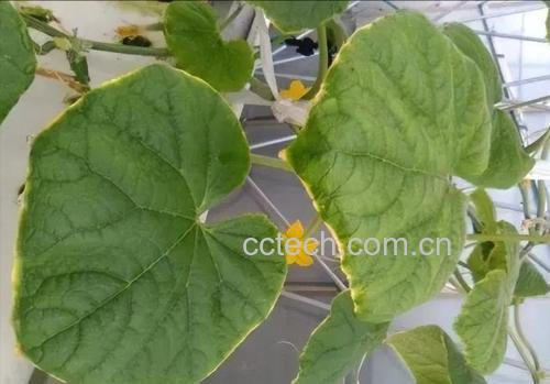 农业废弃物资源化利用示意图