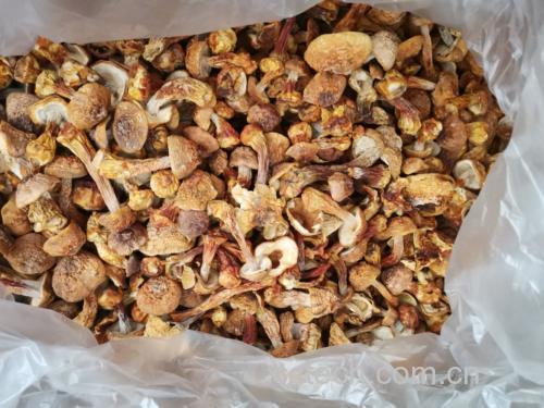 姬松茸膳食应用场景图:陶瓷碗中盛放姬松茸山药粥(米色粥体可见浅褐色姬松茸碎粒),旁置玻璃杯装温开水,桌面铺亚麻布,体现家庭厨房真实食用场景