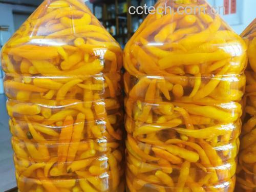 泰式小米椒风味油成品展示
