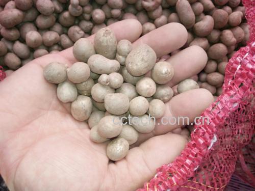 山药奶酪混合物装入模具的过程