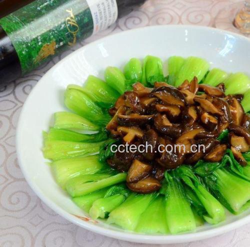 成品菜肴特写,平菇与菜花均匀混合,色泽油亮,盛放在白色瓷盘中,旁边配有米饭