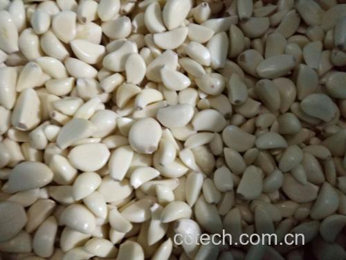 新鲜平菇与菜花摆放在砧板上,旁边放着大蒜和小米辣,背景为厨房台面