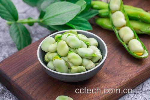 蚕豆煮食过程展示