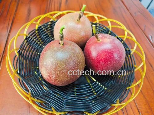 百香果与其他食材搭配摆盘示意图