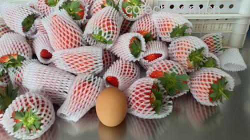 草莓特写：红艳饱满的章姬草莓果实表面覆盖细密种子，果肉多汁微透明，背景为浅木色砧板与不锈钢电子秤，秤面显示“150g”，旁置血糖仪与空试纸盒