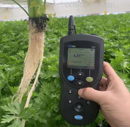 芹菜素分子结构与酪氨酸酶抑制示意图