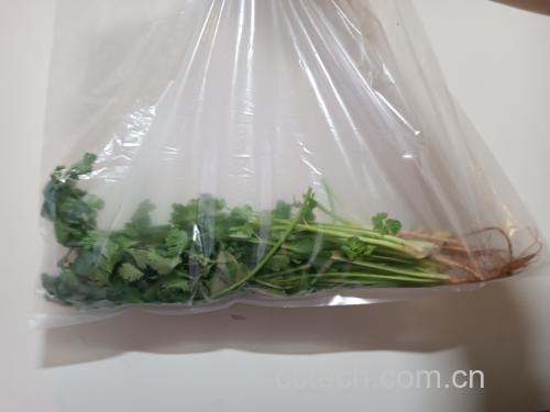 香菜冷冻保存示意图