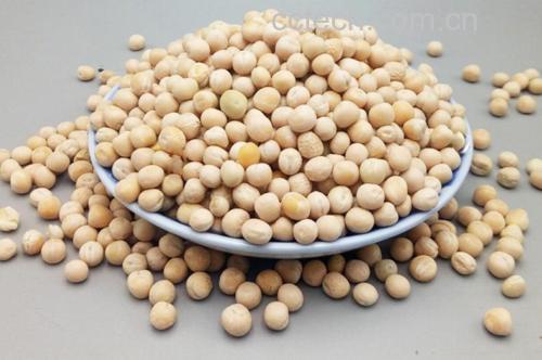 青豌豆的膳食纤维结构图