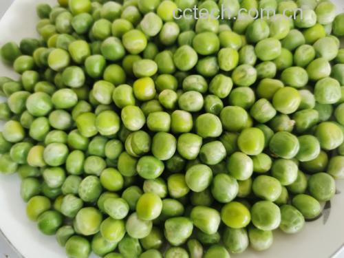 家庭厨房中豌豆成品菜肴展示