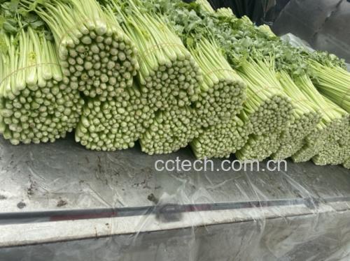芹菜花生米咸菜成品图