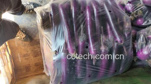 南非醉茄标准化产品对比图:左为合规印度产根粉(浅米黄色,细度均匀,标有withanolides 5%检测值);右为市售“南非长茄干片”(紫黑色、长条形、表面蜡质光亮,实为染色茄子伪品)