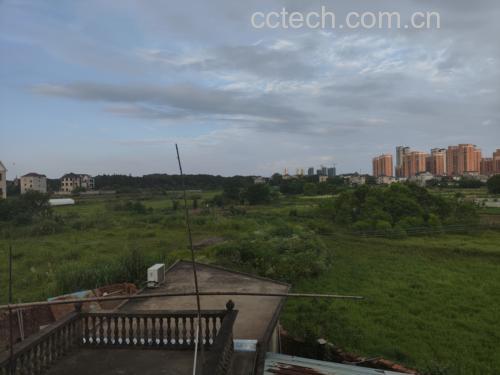 无籽西瓜种植基地图