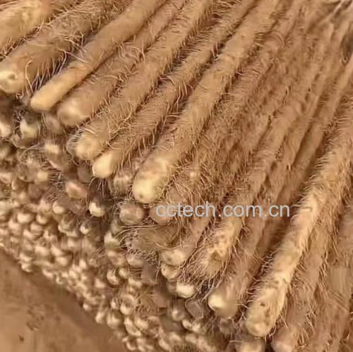 白玉山药制作的清蒸成品图