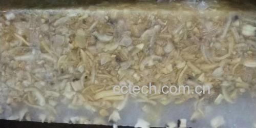 营养对比图表：横向柱状图清晰标注花蛤（71mg）、鸡胸肉（140mg）、豆腐（27mg）、花蛤汤（105mg/100ml）、花蛤干（228mg）的嘌呤含量，单位统一为mg/100g（或mg/100ml），配简明图例与国标分级色块（绿/黄/红）