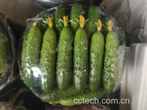 削皮后的旱黄瓜