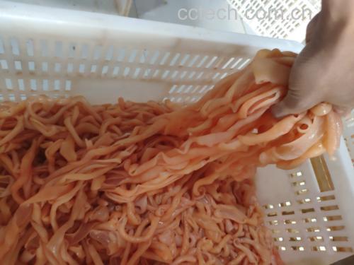 小肠清洗与焯水过程