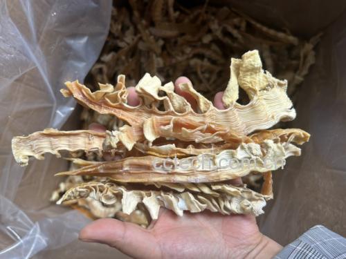 竹笋发苦的自然原因
