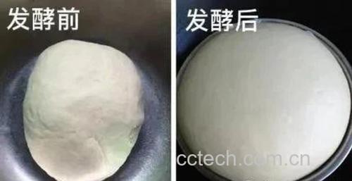 寿桃包面团一次发酵完成状态特写
