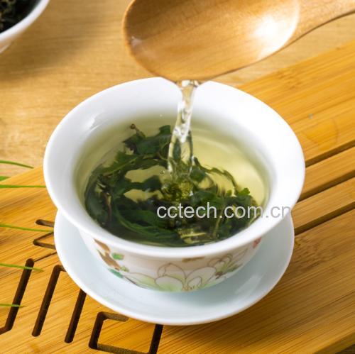 孕妇喝茶场景