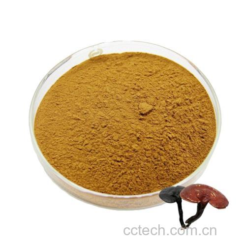 灵芝切片成品与粉末对比图