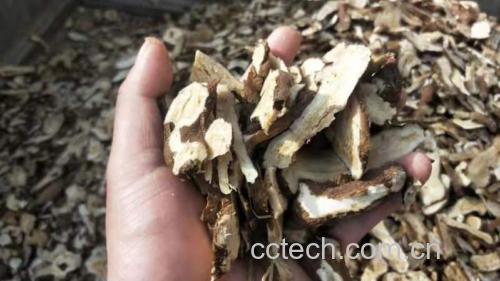 白术多糖提取实验场景示意图