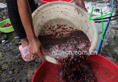 实验室检测人员正在使用高效液相色谱仪分析三七喷剂样品中的皂苷成分