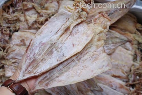 新鲜鱿鱼与干鱿鱼并列展示