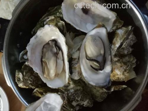韭菜煮生蚝成品图