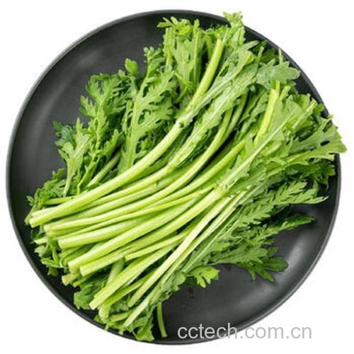 营养餐盘对比图:左盘为纯茼蒿嫩叶清炒(翠绿油亮,蒜末点缀),右盘为茎叶混炒(叶占70%,茎占30%,色彩层次分明)