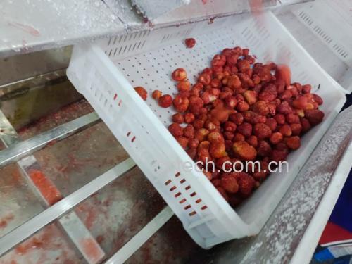 草莓清洗对比图