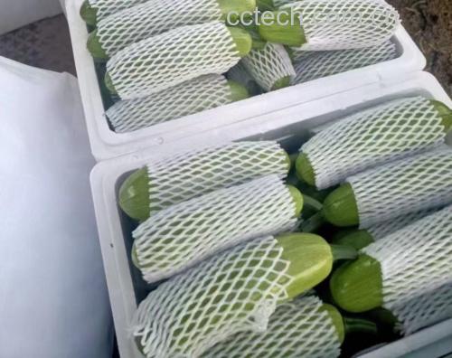 西葫芦馅料锁水效果对比图