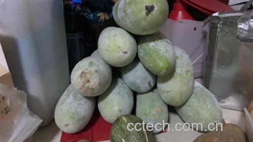 大豆蛋白氨基酸评分对比图